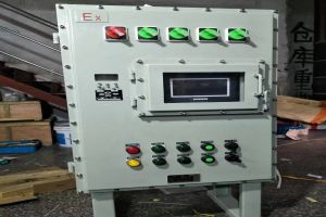 碳化硅溫控柜-揚州達(dá)瑞電氣有限公司